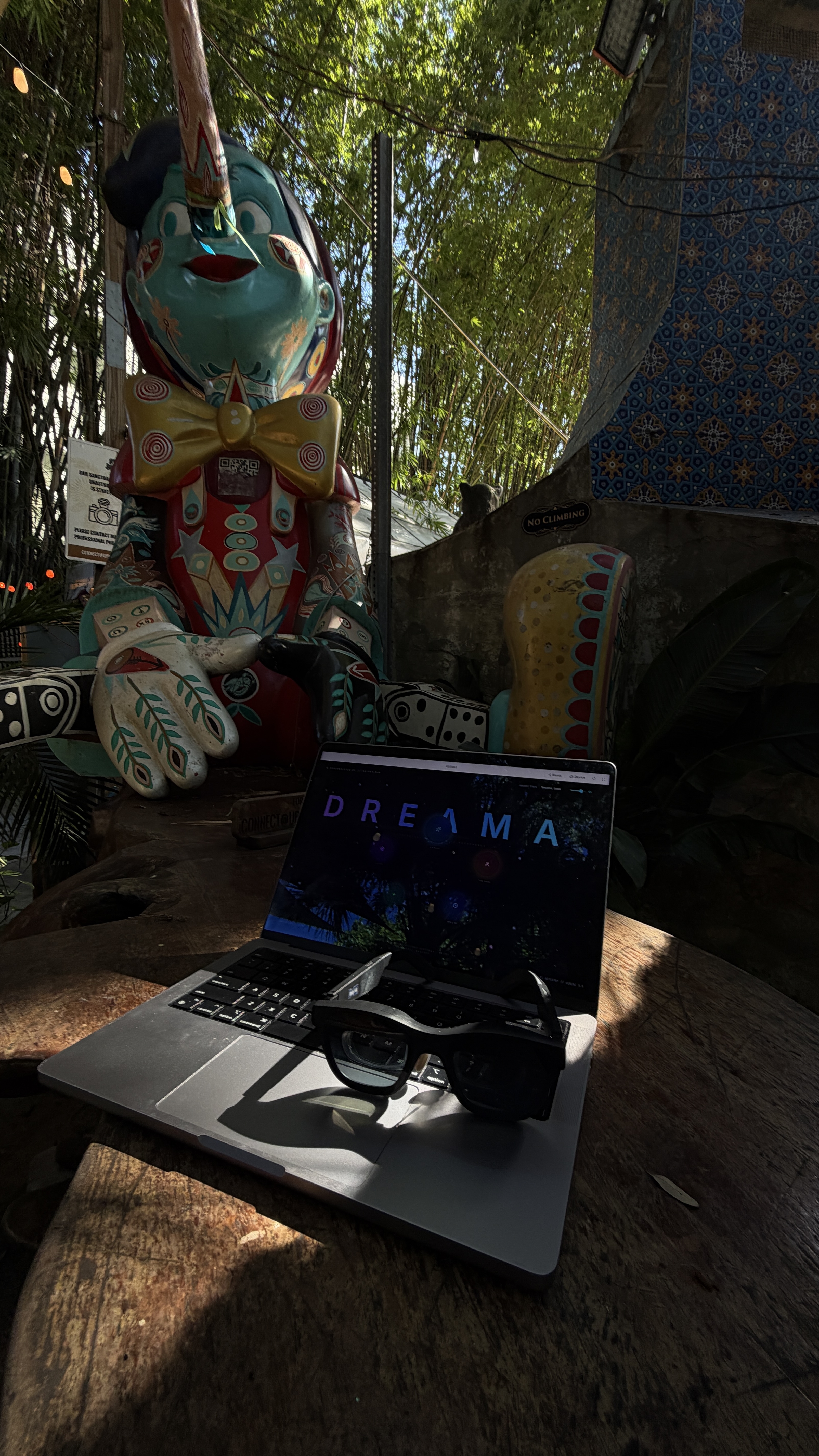 Dreama laptop and glasses in an outdoor setting.